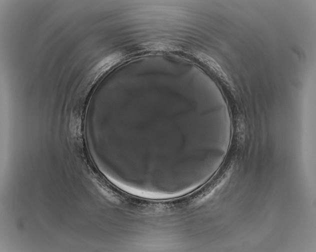 X0000111120881200907281027