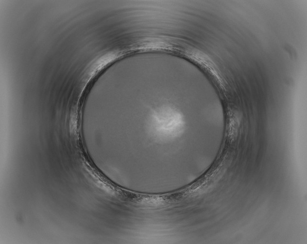 X0000111120882200907281027