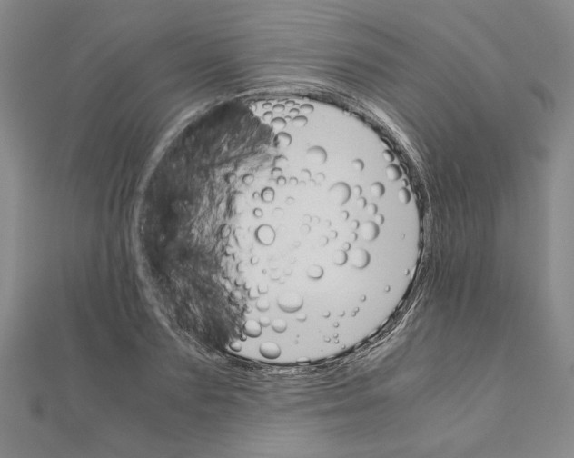 X0000111120883200907281027