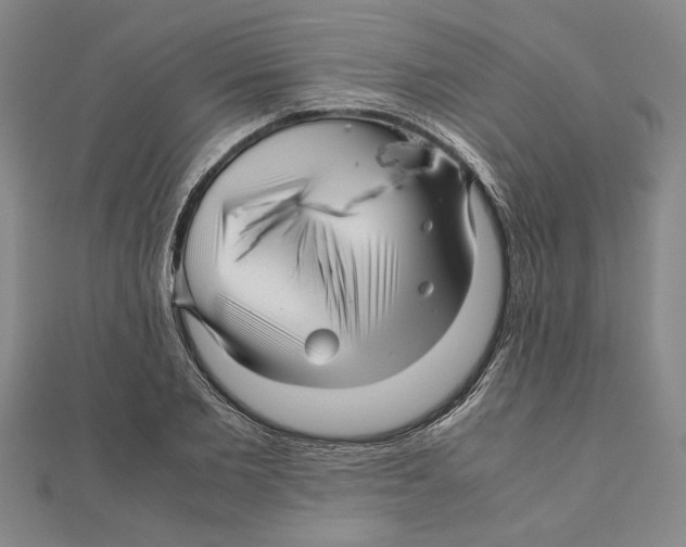 X0000111120885200907281027