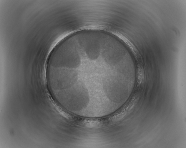 X0000111120886200907281027
