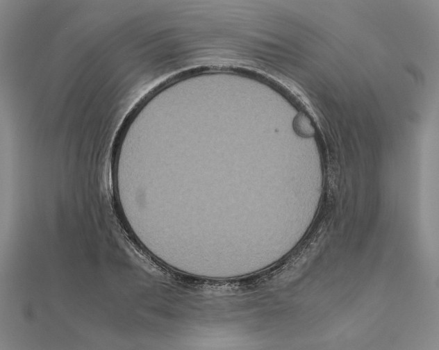 X0000111120887200907281027