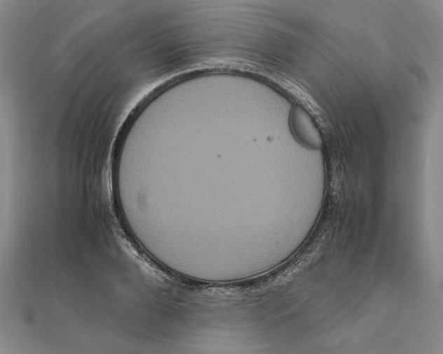 X0000111120888200907281027