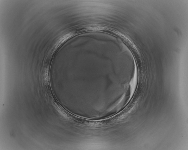 X0000111120889200907281027