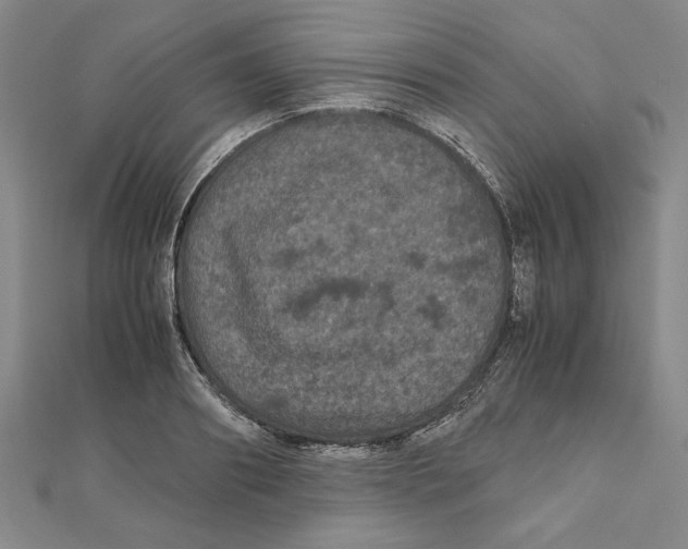X0000111120890200907281027