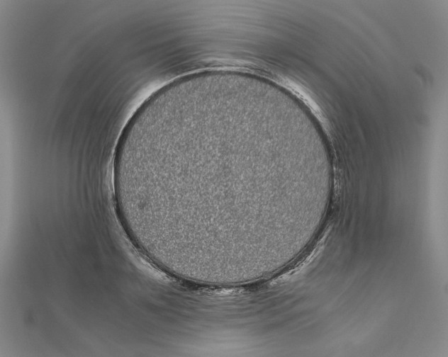 X0000111120891200907281027