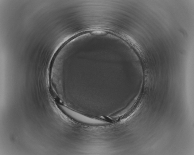 X0000111120892200907281027