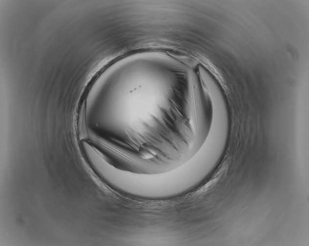 X0000111120893200907281027
