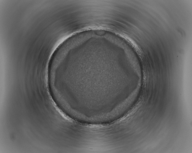 X0000111120894200907281026