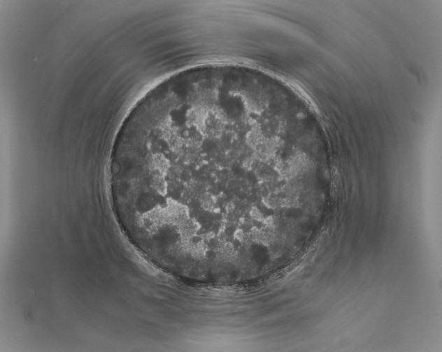 X0000111120895200907281026