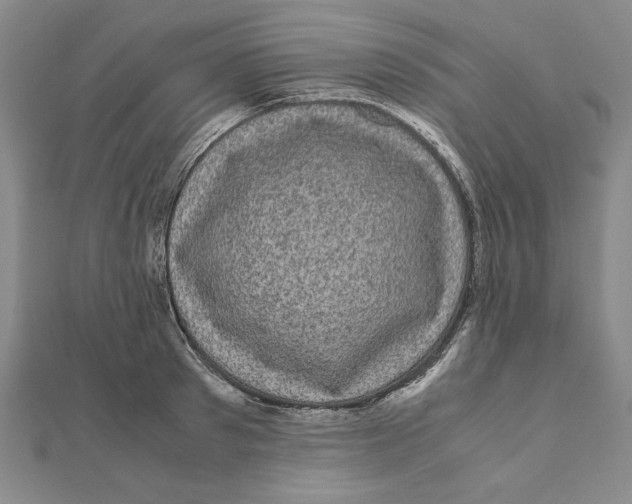 X0000111120897200907281026