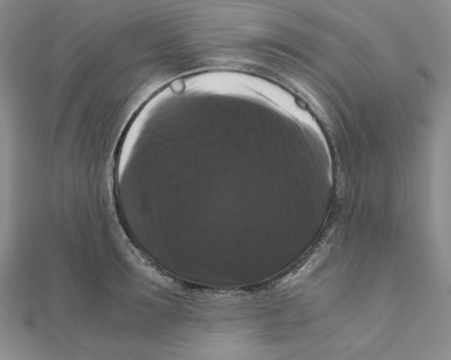 X0000111120899200907281026
