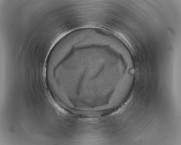X0000111120900200907281026