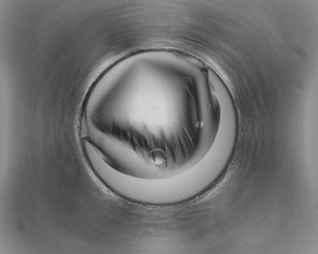 X0000111120901200907281026