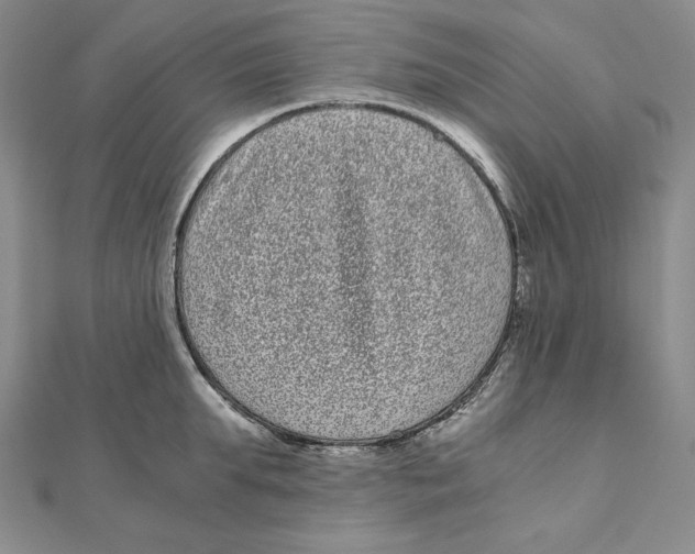 X0000111120903200907281026