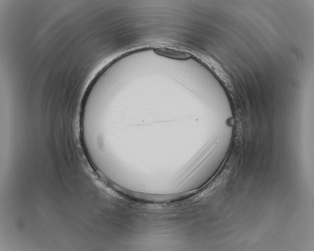 X0000111120904200907281026