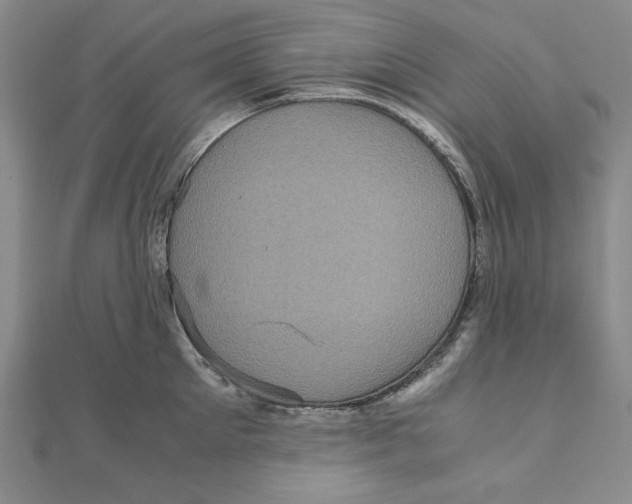 X0000111120905200907281026