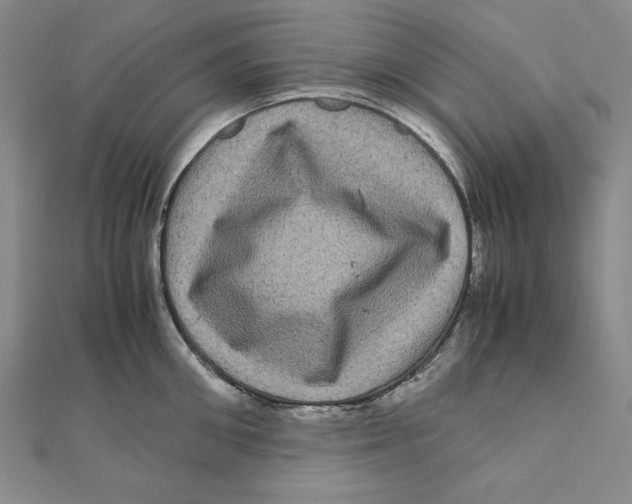 X0000111120906200907281026