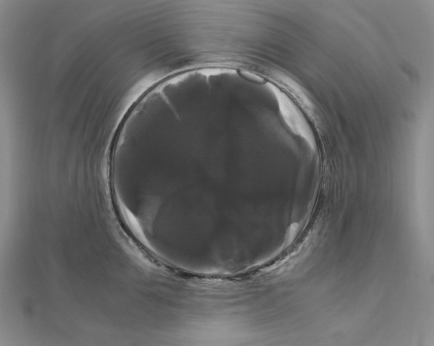 X0000111120907200907281026