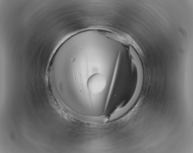 X0000111120908200907281026