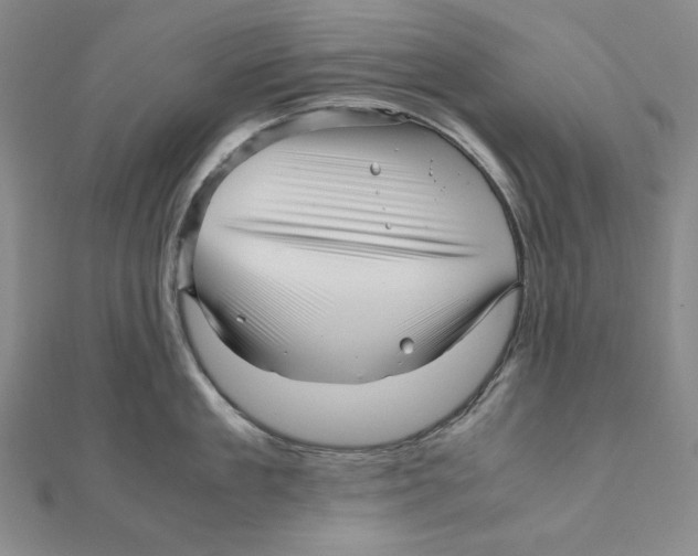 X0000111120909200907281026