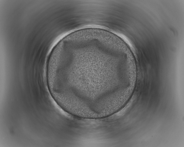 X0000111120910200907281026