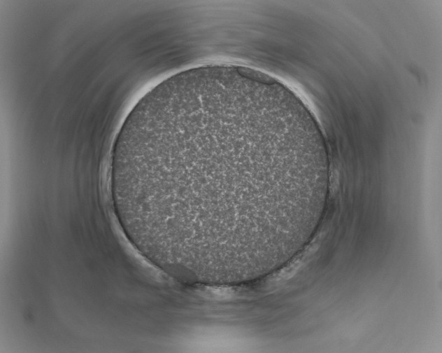 X0000111120911200907281026