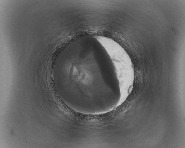 X0000111120913200907281025