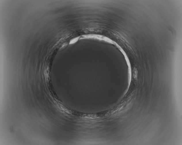 X0000111120915200907281025
