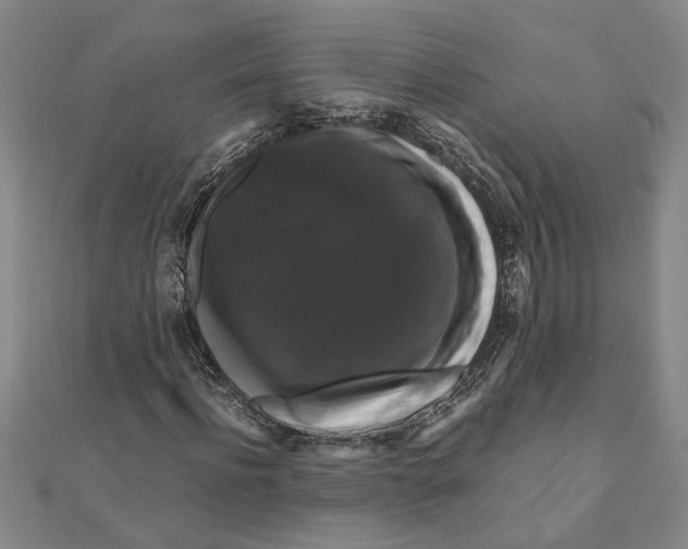 X0000111120916200907281026