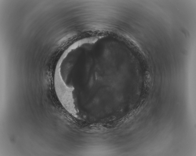 X0000111120918200907281026