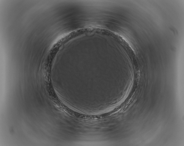 X0000111120919200907281026