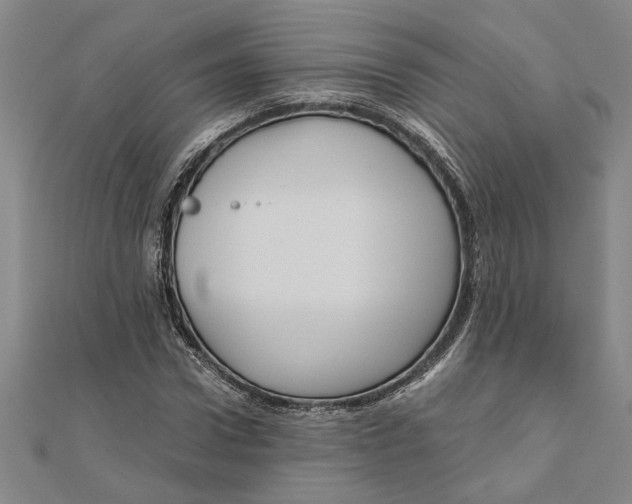 X0000111120922200907281026