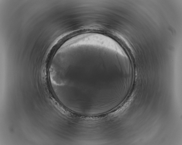 X0000111120923200907281026