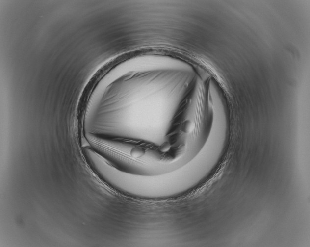 X0000111120924200907281026