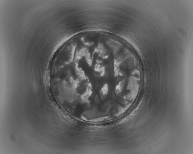 X0000111120925200907281026