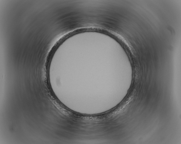 X0000111120927200907281026