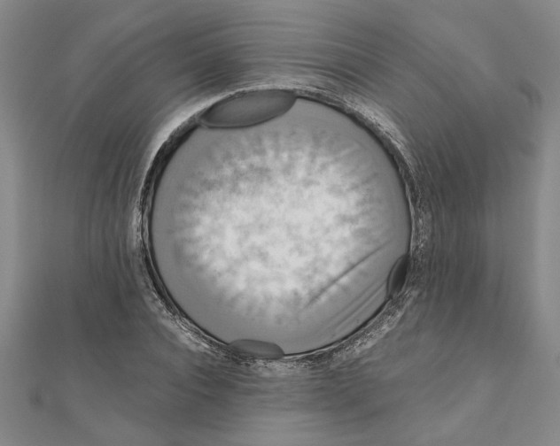 X0000111120928200907281026