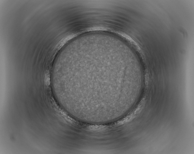 X0000111120929200907281026