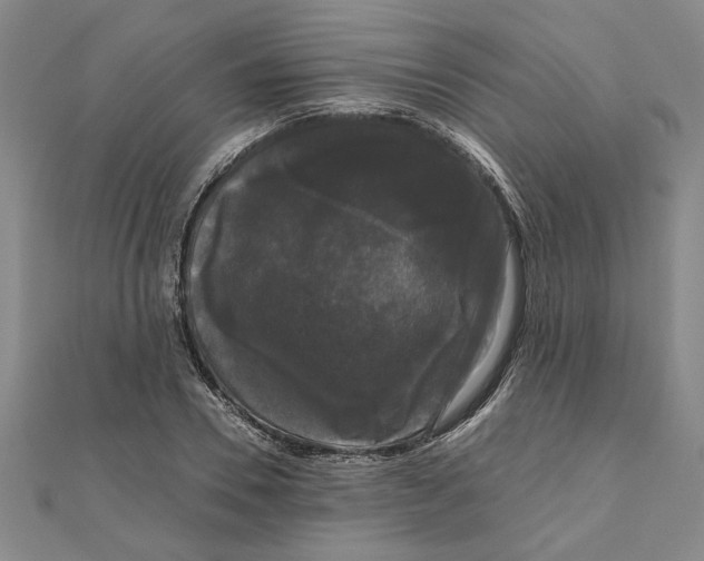 X0000111120930200907281026