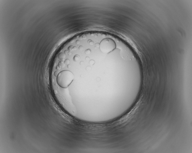X0000111120931200907281026