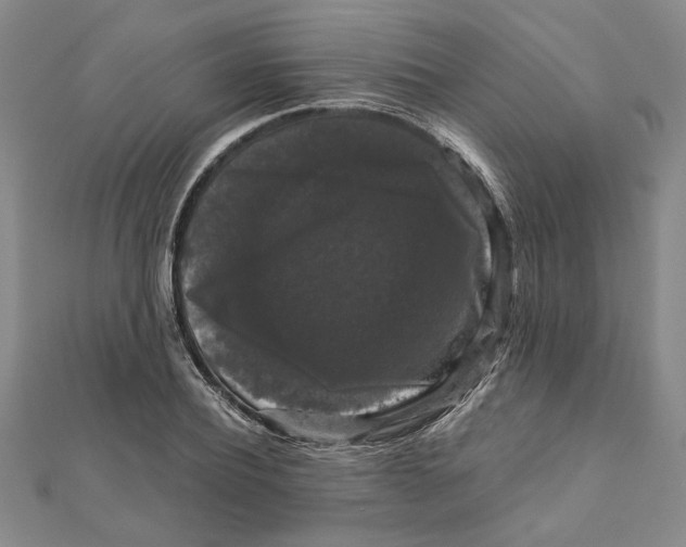 X0000111120932200907281026