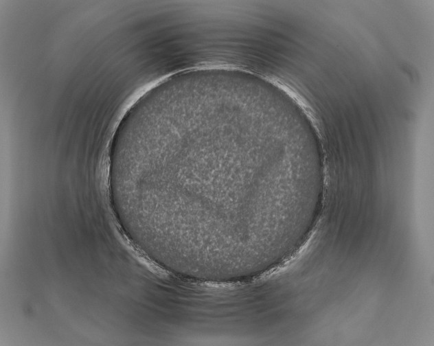 X0000111120933200907281026