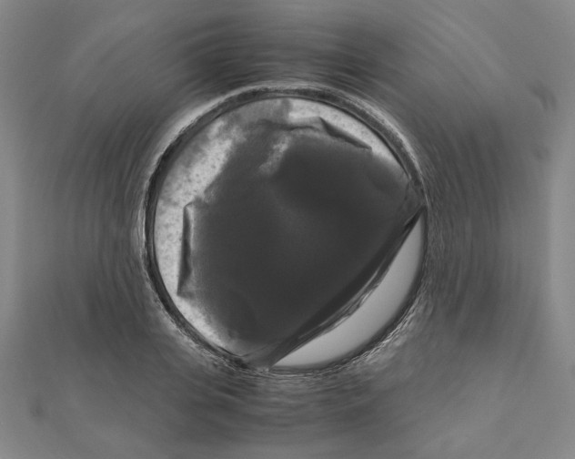 X0000111120935200907281026