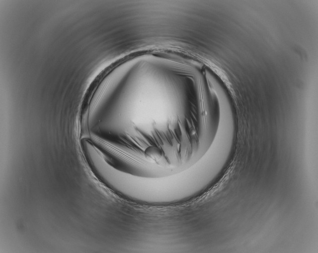 X0000111120936200907281026