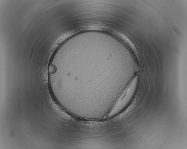X0000111120938200907281026