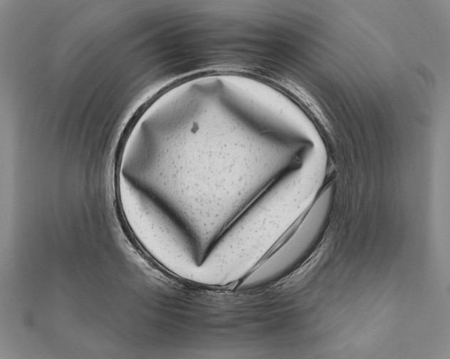 X0000111120939200907281026