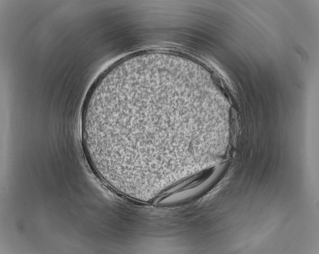 X0000111120940200907281026