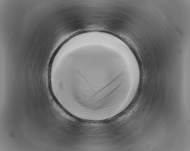 X0000111120941200907281026