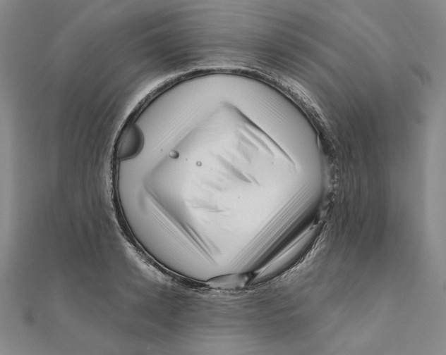 X0000111120942200907281026